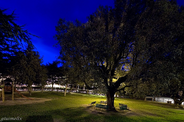 Ortobene, giardini by night - (IMG_2338_1).jpg